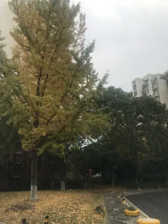 闲林山水