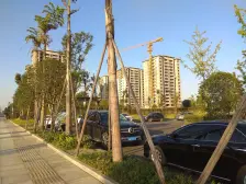 璧山街道 富力白鹭湾琅廷三房65.8万