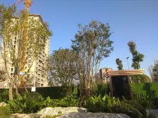 富力白鹭湾鉴湖 4室1厅 南