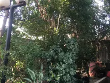 通达大厦 2室1厅 南