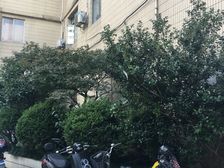 外滩滨江复式,近绿地外滩金融城边,小南门地铁口。