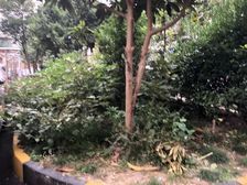 中间楼层+红旗+南北两房+采光好+诚心出售