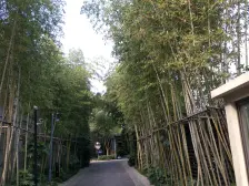 凯德林茵湖畔西区 4室2厅 南