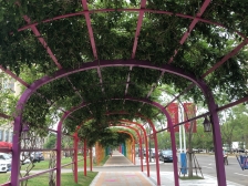 龙湖紫云台2.0+精装修+家具家电+直接入住+对外出租