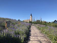 龙湖紫云台2.01室1厅东北东北