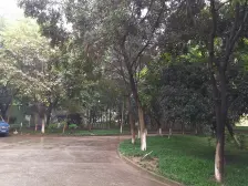 凤天锦园 3室2厅 东南