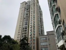 世纪公园电梯高区 商品房 环境宜居,承接陆家嘴