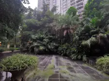 南滨路 阳光汇 精装三房+书房 户型通透 空气好