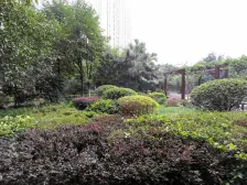 凤天路 华彩俊豪三房120万