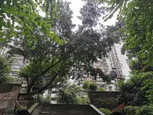 楼梯精装两房 拎包入住 平街二楼