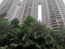 南坪东路 阳光汇三房119万