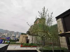 保利大国璟西苑 5室2厅 南