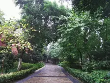 高层视野好,正规一室一厅,小区入住高率绿化环境好