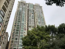 新领地朝西一房,电梯高区,采光好,诚意出售