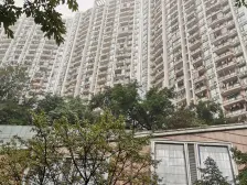 高层视野好正规一室小区入住高率绿化环境好