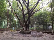 凤天路 凤天锦园二房99万