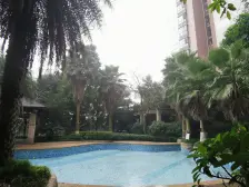 阳光汇 1室1厅 东南