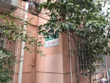 面向朝南 春暖花开 直接来暴击!!!!