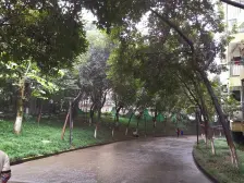 沙坪坝 凤天锦园 装修大3房2卫 园林式小区 电梯洋楼