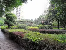 华彩俊豪 3室1厅 东南