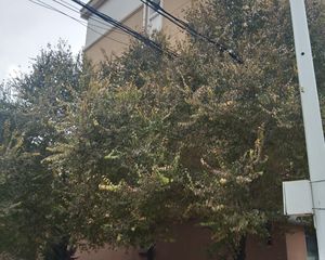 轻轨伊通河旁卫星花园产权明晰可按揭业主诚心出售