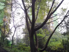 凤天路 凤天锦园三房170万