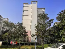 南北通透格局楼层hao采光充足,