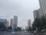 周边香樟路实景