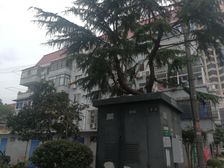 地铁口,圆西拎包入住,诚意出售,价格可以谈