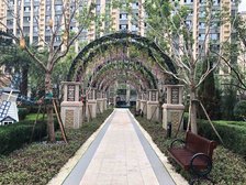 恒大珺睿府三期南北通透中间楼层