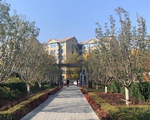 林肯时代3室2厅东南