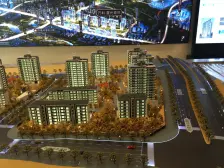 照母山 万科星光森林B区五房370万