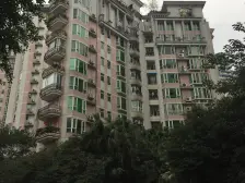 南坪 泰正花园四房