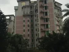 有花园户型方正三面采光板式结构