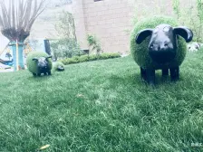 二号院公寓式住宅 全南设计 精装修 采光好 可按揭