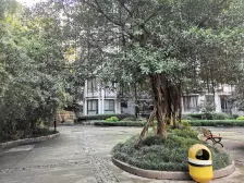 海棠晓月E区 正规一室一厅 诚心卖