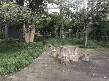 松树桥10年小区 出门即公交站 出行方便 享双轨通行