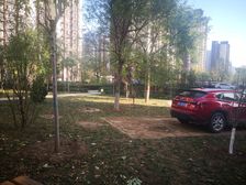 满五唯一,中间楼层,采光好,视野佳