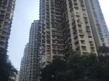 加州新牌坊 加州城市花园五房