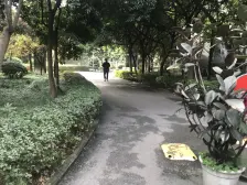 龙溪镇 依云雅筑二房90万