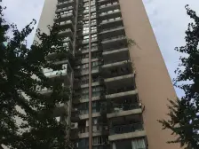 西路 贝迪新城三期三房142万