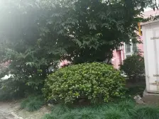 地铁5号线,两南房,采光充足,诚心出售,看房方便