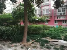 2000年的封闭改造小区,车位充足,一梯两户得房率高。