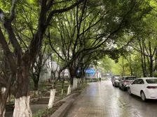 南坪四公里旁 住家装修 朝中庭 安静舒适 ,