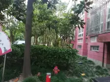 1梯2户,全明户型,南北小两房,采光好,满五年