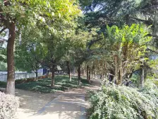 2号桥进 两室朝南1楼带院子 直通星港