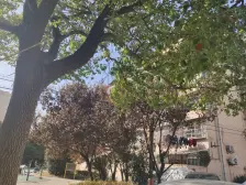 一梯三户,厨卫朝北,主卧朝南,独立电梯