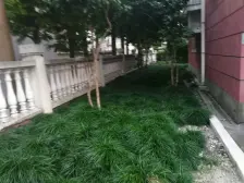 低楼层 采光好 总价低 配套成熟
