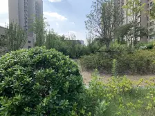 江桥·嘉怡坊·1室·1厅