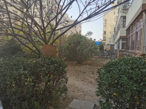银鸥新村